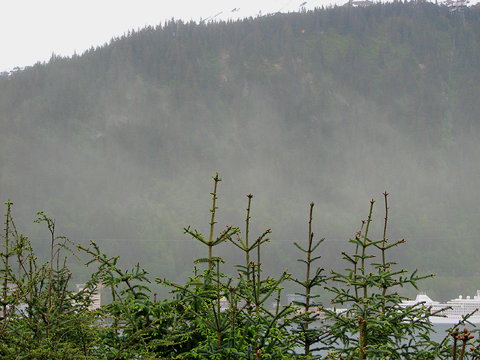 Spruce Pollen Blowing in the Wind and Obscuring Mt. Roberts.